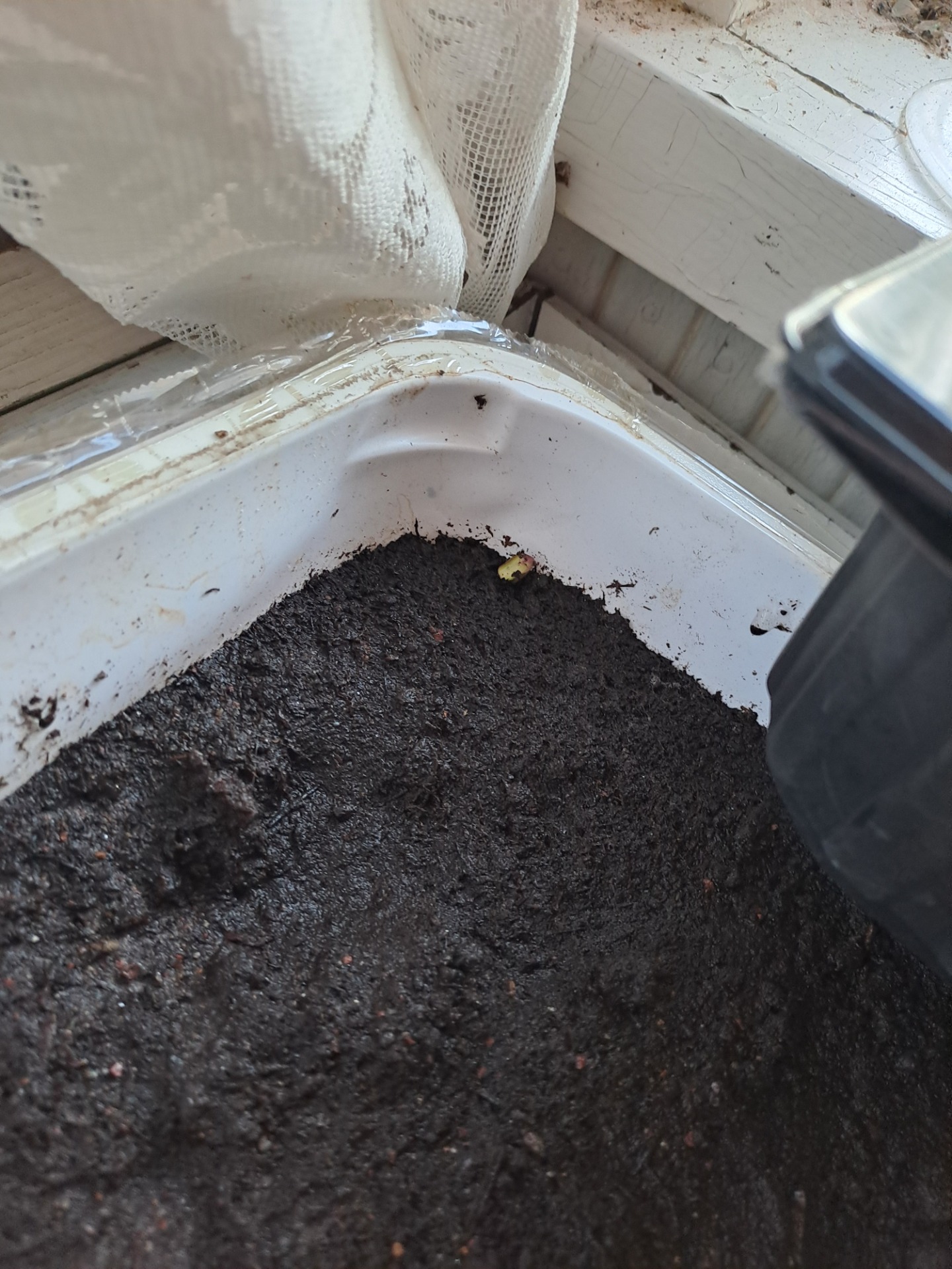 Nurkassa on pieni alku 🌱